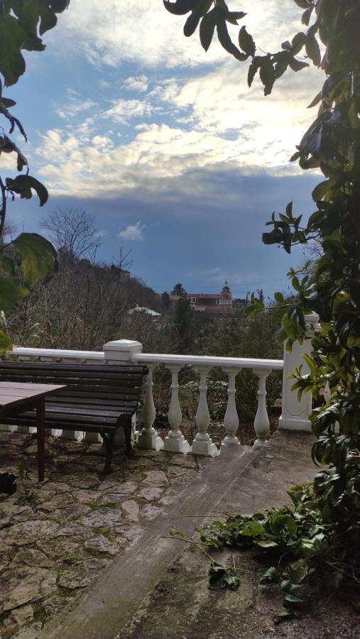 Guest House Chalet Agave Gagra Exterior photo